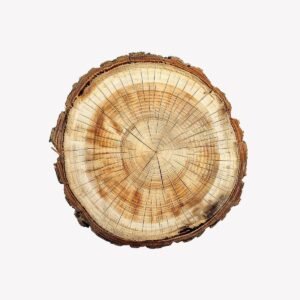 Rustic wood slice coaster