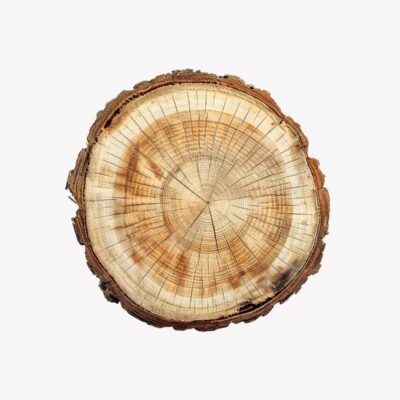 Rustic wood slice coaster