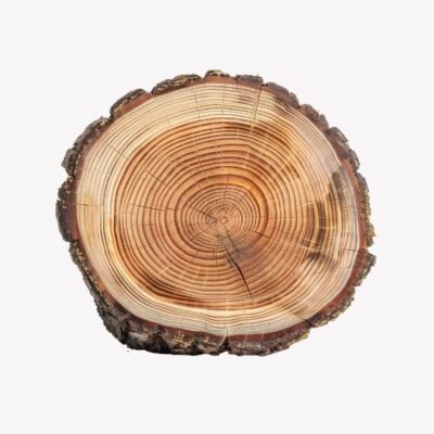 Natural pinewood round slab