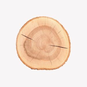 Light wood slice for crafts