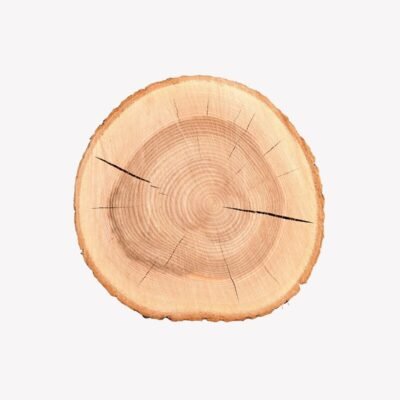 Light wood slice for crafts